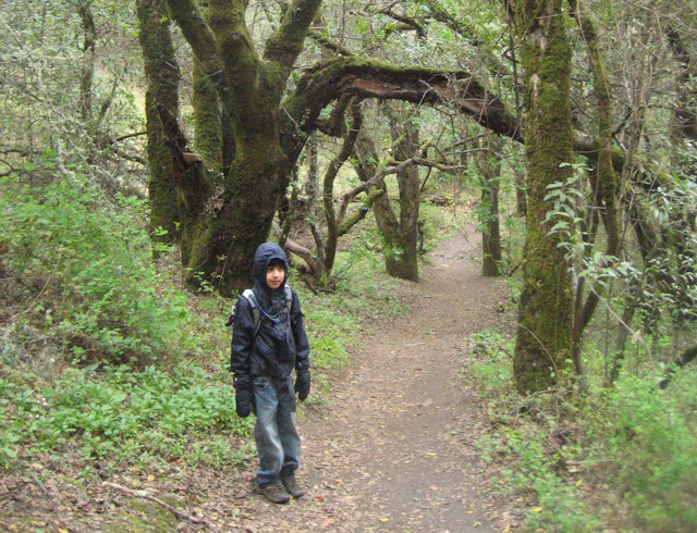 Adi hiking in the rain