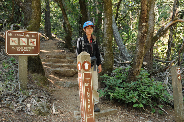 Returning from the Mountain Theater